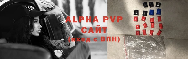 ПСИЛОЦИБИНОВЫЕ ГРИБЫ Покачи