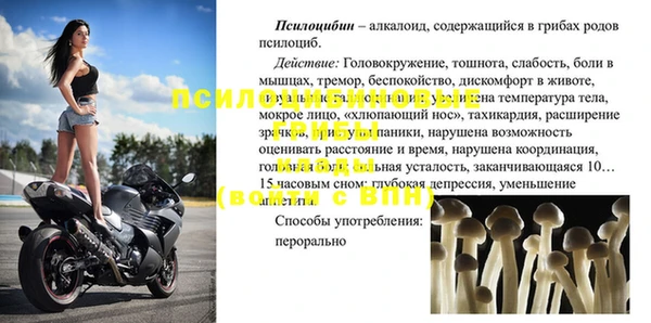 мдпв Бикин