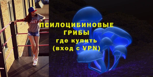 mdpv Горнозаводск