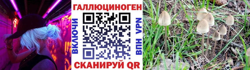 купить   сайты даркнета Telegram  Псилоцибиновые грибы Magic Shrooms  Ейск 